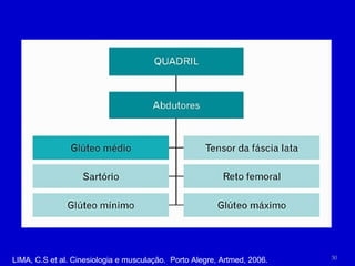 LIMA, C.S et al. Cinesiologia e musculação.  Porto Alegre, Artmed, 2006. 