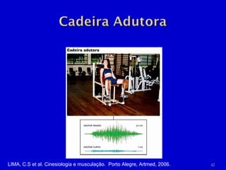 LIMA, C.S et al. Cinesiologia e musculação.  Porto Alegre, Artmed, 2006. 