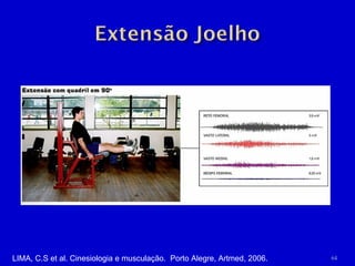 LIMA, C.S et al. Cinesiologia e musculação.  Porto Alegre, Artmed, 2006. 