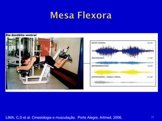 LIMA, C.S et al. Cinesiologia e musculação.  Porto Alegre, Artmed, 2006. 