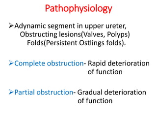 Pathophysiology
Adynamic segment in upper ureter,
Obstructing lesions(Valves, Polyps)
Folds(Persistent Ostlings folds).
Complete obstruction- Rapid deterioration
of function
Partial obstruction- Gradual deterioration
of function
 