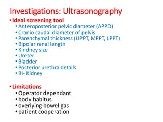 Investigations: Ultrasonography
•Ideal screening tool
• Anteroposterior pelvic diameter (APPD)
• Cranio caudal diameter of pelvis
• Parenchymal thickness (UPPT, MPPT, LPPT)
• Bipolar renal length
• Kindney size
• Ureter
• Bladder
• Posterior urethra details
• RI- Kidney
•Limitations
•Operator dependant
•body habitus
•overlying bowel gas
•patient cooperation
 