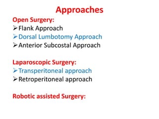 Approaches
Open Surgery:
Flank Approach
Dorsal Lumbotomy Approach
Anterior Subcostal Approach
Laparoscopic Surgery:
Transperitoneal approach
Retroperitoneal approach
Robotic assisted Surgery:
 