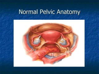 Normal Pelvic Anatomy
 