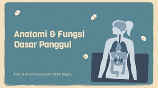 Here is where your presentation begins
Anatomi & Fungsi
Dasar Panggul
 