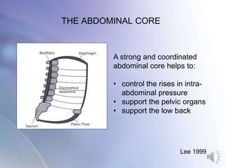 pelvic-floor-presentation-resources.pptx