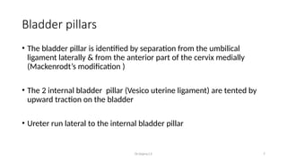 Anatomy of female pelvis - bony and soft tissue | PPTX