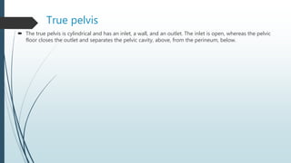 True pelvis
 The true pelvis is cylindrical and has an inlet, a wall, and an outlet. The inlet is open, whereas the pelvic
floor closes the outlet and separates the pelvic cavity, above, from the perineum, below.
 
