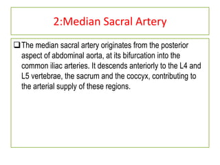 2:Median Sacral Artery
The median sacral artery originates from the posterior
aspect of abdominal aorta, at its bifurcation into the
common iliac arteries. It descends anteriorly to the L4 and
L5 vertebrae, the sacrum and the coccyx, contributing to
the arterial supply of these regions.
 