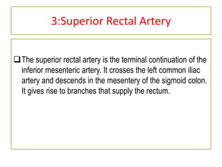 3:Superior Rectal Artery
The superior rectal artery is the terminal continuation of the
inferior mesenteric artery. It crosses the left common iliac
artery and descends in the mesentery of the sigmoid colon.
It gives rise to branches that supply the rectum.
 
