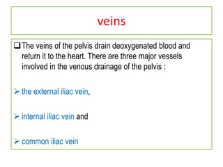 veins
The veins of the pelvis drain deoxygenated blood and
return it to the heart. There are three major vessels
involved in the venous drainage of the pelvis :
 the external iliac vein,
 internal iliac vein and
 common iliac vein
 