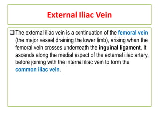 External Iliac Vein
The external iliac vein is a continuation of the femoral vein
(the major vessel draining the lower limb), arising when the
femoral vein crosses underneath the inguinal ligament. It
ascends along the medial aspect of the external iliac artery,
before joining with the internal iliac vein to form the
common iliac vein.
 