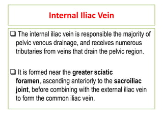 Internal Iliac Vein
 The internal iliac vein is responsible the majority of
pelvic venous drainage, and receives numerous
tributaries from veins that drain the pelvic region.
 It is formed near the greater sciatic
foramen, ascending anteriorly to the sacroiliac
joint, before combining with the external iliac vein
to form the common iliac vein.
 