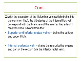 Cont..
With the exception of the iliolumbar vein (which drains into
the common iliac), the tributaries of the internal iliac vein
correspond with the branches of the internal iliac artery. It
receives venous blood from the:
• Superior and inferior gluteal veins – drains the buttock
and upper thigh.
• Internal pudendal vein – drains the reproductive organs
and part of the rectum (via the inferior rectal vein).
 