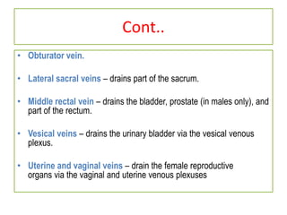 Cont..
• Obturator vein.
• Lateral sacral veins – drains part of the sacrum.
• Middle rectal vein – drains the bladder, prostate (in males only), and
part of the rectum.
• Vesical veins – drains the urinary bladder via the vesical venous
plexus.
• Uterine and vaginal veins – drain the female reproductive
organs via the vaginal and uterine venous plexuses
 