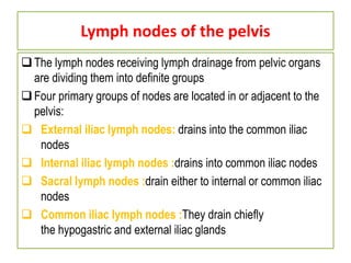 Lymph nodes of the pelvis
The lymph nodes receiving lymph drainage from pelvic organs
are dividing them into deﬁnite groups
Four primary groups of nodes are located in or adjacent to the
pelvis:
 External iliac lymph nodes: drains into the common iliac
nodes
 Internal iliac lymph nodes :drains into common iliac nodes
 Sacral lymph nodes :drain either to internal or common iliac
nodes
 Common iliac lymph nodes :They drain chiefly
the hypogastric and external iliac glands
 