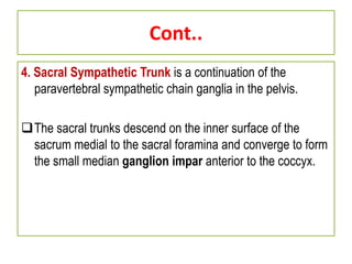 Cont..
4. Sacral Sympathetic Trunk is a continuation of the
paravertebral sympathetic chain ganglia in the pelvis.
The sacral trunks descend on the inner surface of the
sacrum medial to the sacral foramina and converge to form
the small median ganglion impar anterior to the coccyx.
 