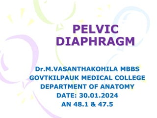 PELVIC
DIAPHRAGM
Dr.M.VASANTHAKOHILA MBBS
GOVTKILPAUK MEDICAL COLLEGE
DEPARTMENT OF ANATOMY
DATE: 30.01.2024
AN 48.1 & 47.5
 