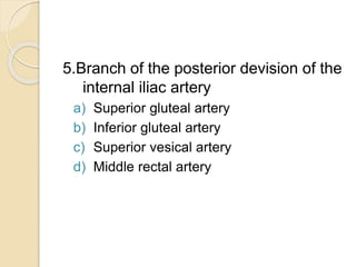 5.Branch of the posterior devision of the
internal iliac artery
a) Superior gluteal artery
b) Inferior gluteal artery
c) Superior vesical artery
d) Middle rectal artery
 