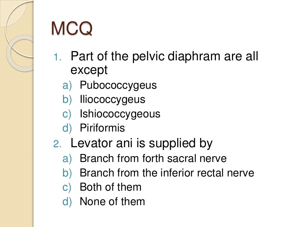 Pelvic diaphragm ppt