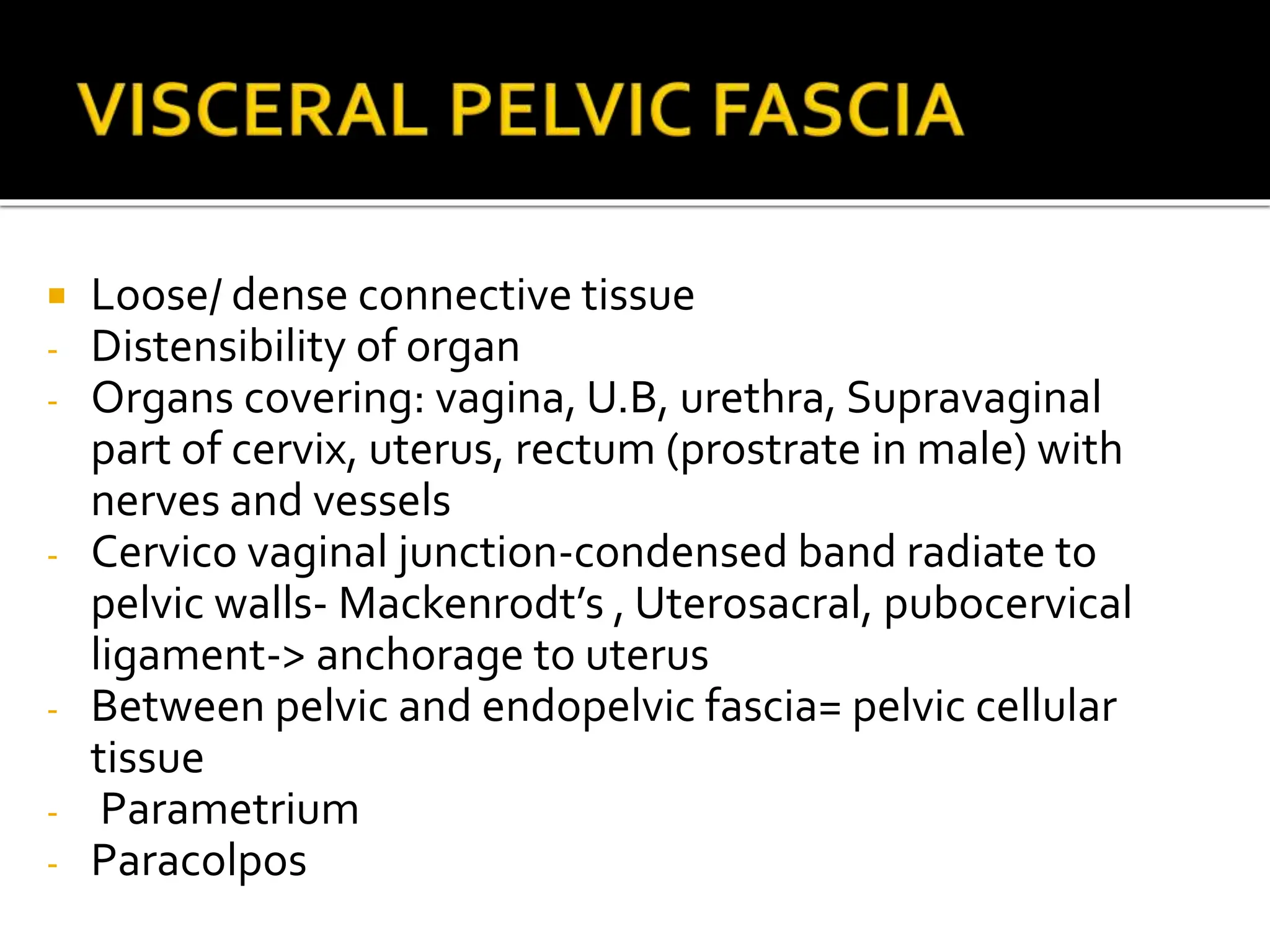 PELVIC FASCIA & PELVIC DIAPHRAGMggfc.pptx