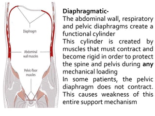  Diaphragmatic-
 The abdominal wall, respiratory
and pelvic diaphragms create a
functional cylinder
 This cylinder is created by
muscles that must contract and
become rigid in order to protect
the spine and pelvis during any
mechanical loading
 In some patients, the pelvic
diaphragm does not contract.
This causes weakness of this
entire support mechanism
 