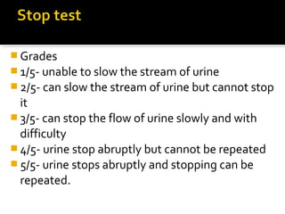  Grades
 1/5- unable to slow the stream of urine
 2/5- can slow the stream of urine but cannot stop
it
 3/5- can stop the flow of urine slowly and with
difficulty
 4/5- urine stop abruptly but cannot be repeated
 5/5- urine stops abruptly and stopping can be
repeated.
 