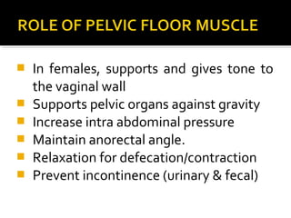  In females, supports and gives tone to
the vaginal wall
 Supports pelvic organs against gravity
 Increase intra abdominal pressure
 Maintain anorectal angle.
 Relaxation for defecation/contraction
 Prevent incontinence (urinary & fecal)
 