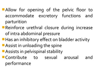 Allow for opening of the pelvic floor to
accommodate excretory functions and
parturition
Reinforce urethral closure during increase
of intra abdominal pressure
Has an inhibitory effect on bladder activity
Assist in unloading the spine
Assists in pelvispinal stability
Contribute to sexual arousal and
performance
 