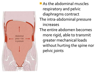  As the abdominal muscles
respiratory and pelvic
diaphragms contract
The intra-abdominal pressure
increases
The entire abdomen becomes
more rigid, able to transmit
greater mechanical loads
without hurting the spine nor
pelvic joints
 