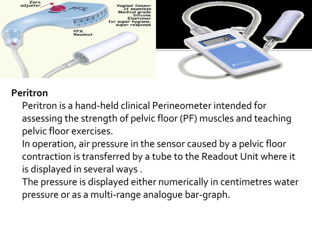 Pelvic Floor