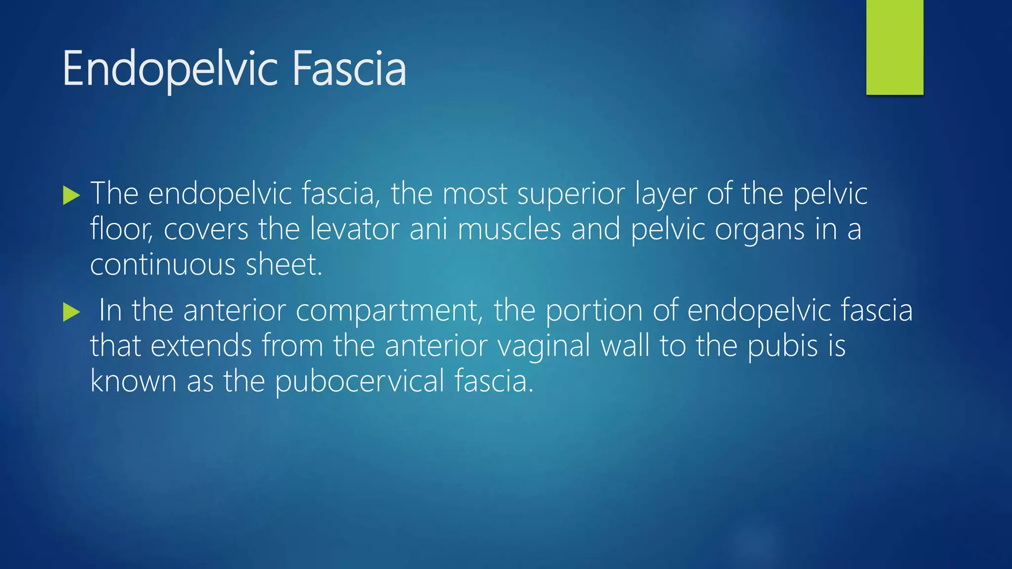 MR BASED IMAGING OF FEMALE PELVIC FLOOR | PPTX