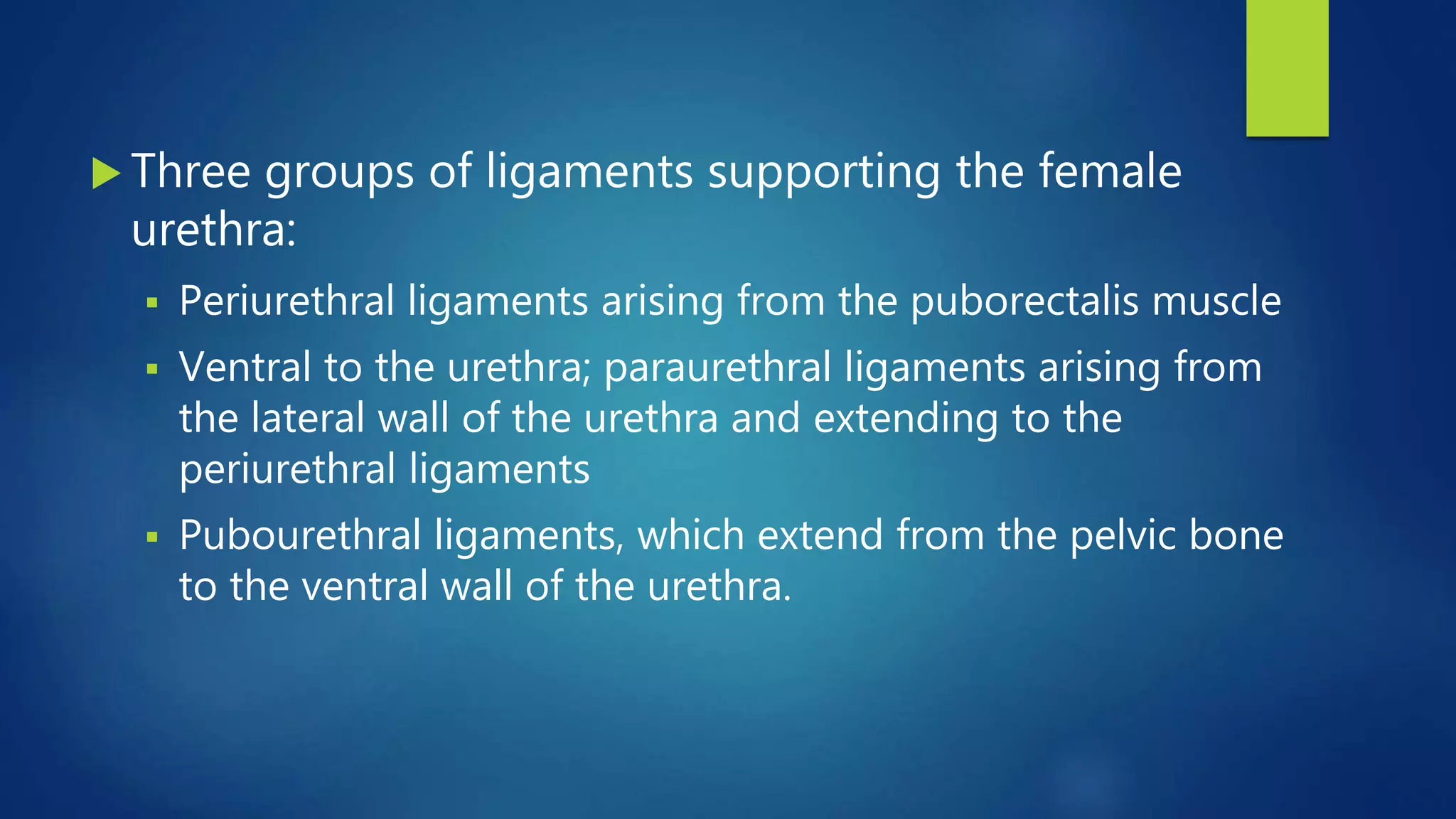 MR BASED IMAGING OF FEMALE PELVIC FLOOR | PPTX