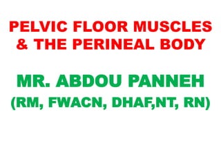 PELVIC FLOOR MUSCLES
& THE PERINEAL BODY
MR. ABDOU PANNEH
(RM, FWACN, DHAF,NT, RN)
 
