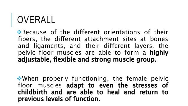 The Pelvic Floor Anatomy Function And Clinical Integration Ppt Download
