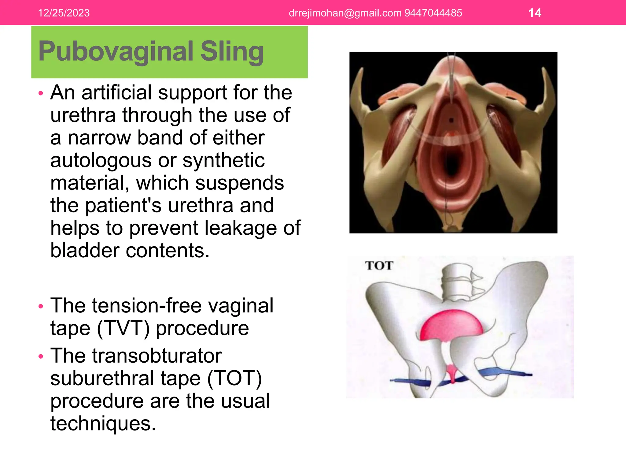 PELVIC FLOOR ANATOMY AND REPAIR pptx FOR TEACHING PPTX