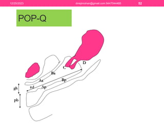 PELVIC FLOOR ANATOMY AND REPAIR.pptx FOR TEACHING | PPTX
