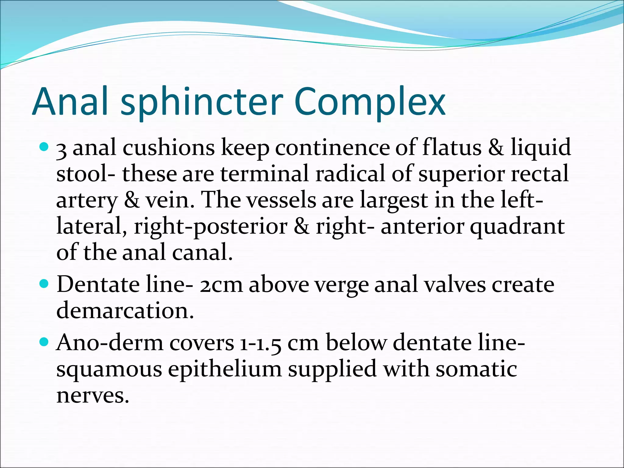 Pelvic Floor Anatomy | PPT