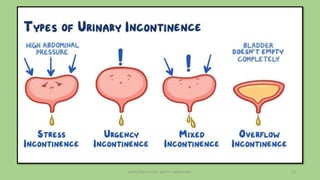 pelvic floor muscle and it's dysfunction 12
 