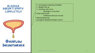 pelvic floor muscle and it's dysfunction 16
 Incomplete emptying of bladder
 Bladder fills up
 Overflow with urine :
Blockage in urine flow
outlet obstruction
Ineffective detrusor muscle
diabetes(polyuria)
neurogenic bladder(multiple sclosis)
 