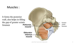 pelvic floor muscle and it's dysfunction 4
Muscles :
It forms the posterior
wall, also helps in filling
the gap of greater sciatic
foramen
Greater
sciatic
foramen
 