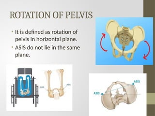 PELVIC FLOOR ASSESSMENT physiotherapy... | PPTX