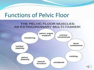 Pelvic floor dysfunction and low back ache | PPTX