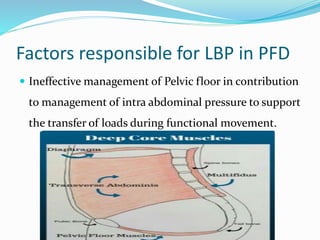 Pelvic floor dysfunction and low back ache | PPTX
