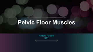 Pelvic Floor Muscles
Naeem Rahbar
BPT
 