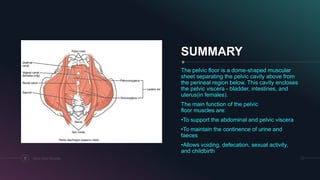 SUMMARY
The pelvic floor is a dome-shaped muscular
sheet separating the pelvic cavity above from
the perineal region below. This cavity encloses
the pelvic viscera - bladder, intestines, and
uterus(in females).
The main function of the pelvic
floor muscles are:
•To support the abdominal and pelvic viscera
•To maintain the continence of urine and
faeces
•Allows voiding, defecation, sexual activity,
and childbirth
17 Pelvic Floor Muscles
 
