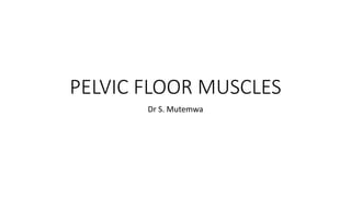 PELVIC FLOOR MUSCLES
Dr S. Mutemwa
 