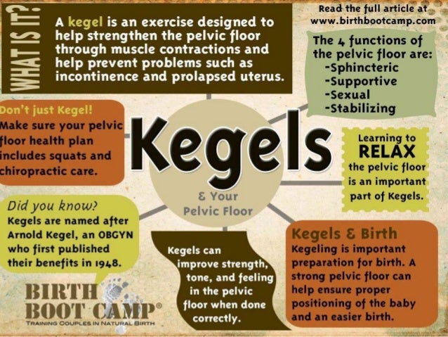 Pelvic Floor Rehabilitation