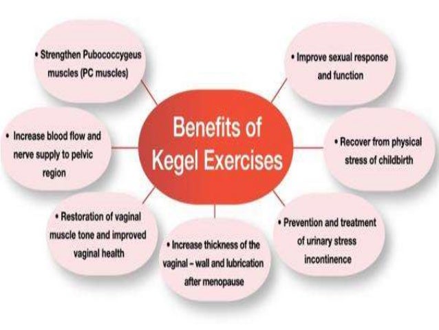 Pelvic Floor Rehabilitation