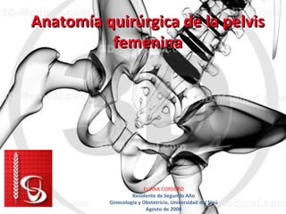Anatomía quirúrgica de la pelvis femenina ELIANA CORDERO Residente de Segundo Año Ginecología y Obstetricia, Universidad del Sinú Agosto de 2008 